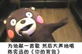 屏山贷款清欠服务